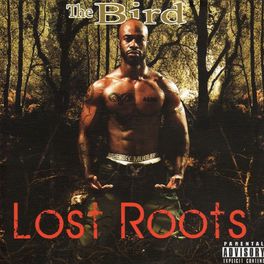 Album cover of Lost Roots