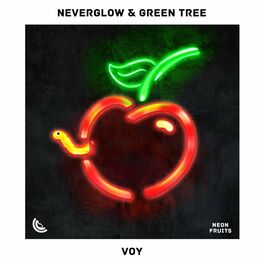 Album cover of Voy