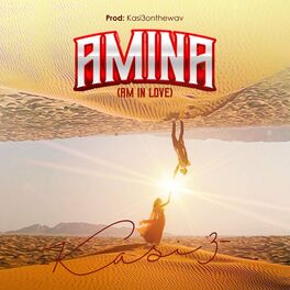 Album cover of Amina (Am In Love)