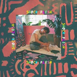 Album cover of Shock Flesh
