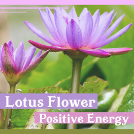 Album cover of Lotus Flower: Positive Energy - Music for Zen Relaxation, Nature Sounds for Reiki, Chakra Healing, Yoga & Massage Therapy