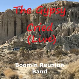 Album cover of The Gypsy Cried (Live)