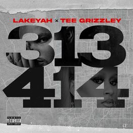 Album cover of 313-414