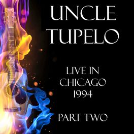 Album cover of Live in Chicago 1994 Part Two (Live)