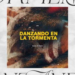 Album cover of Danzando En La Tormenta