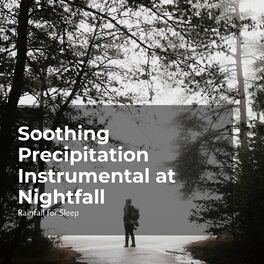 Album cover of Soothing Precipitation Instrumental at Nightfall