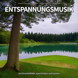 Album cover of #01 Entspannungsmusik als Einschlafhilfe, zum Erholen und Lernen