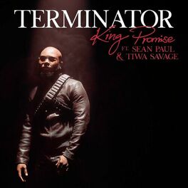 Album cover of Terminator (Remix)