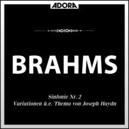 Album cover of Brahms: Sinfonie No. 2, Op. 73 - Variationen über ein Thema von Joseph Haydn, Op. 56a