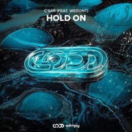 Album cover of Hold On