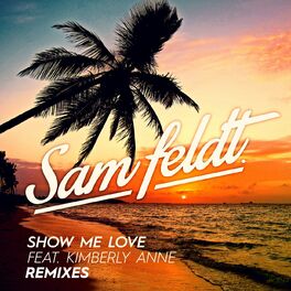 Album cover of Show Me Love (Remixes 2)