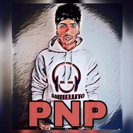 Album cover of Pare Nisu Problem (PNP)