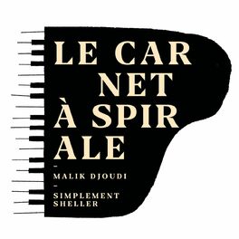 Album cover of Le carnet à spirale