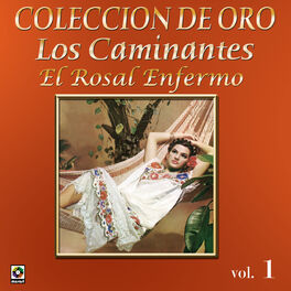 Album cover of Colección De Oro: La Trova Yucateca, Vol. 1