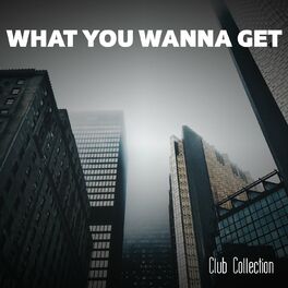 Album cover of What You Wanna Get Club Collection