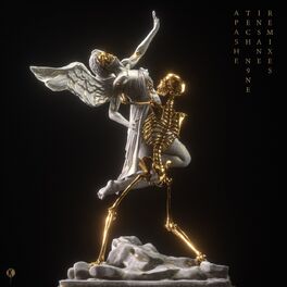 Album cover of Insane (Remixes)