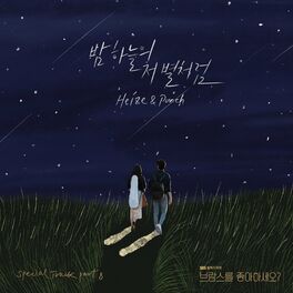 Album cover of 밤하늘의 저 별처럼 (브람스를 좋아하세요? (Original Television Soundtrack) 스페셜 트랙)