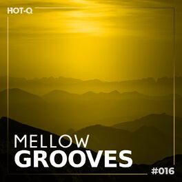 Album cover of Mellow Grooves 016
