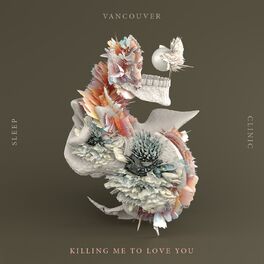 Album cover of Killing Me To Love You