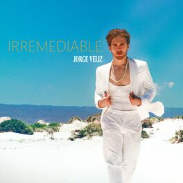Album cover of Irremediable (Cover)