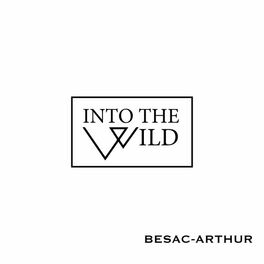 Album cover of Into the Wild