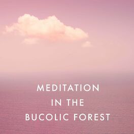 Album cover of Meditation in the Bucolic Forest