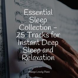 Album cover of Essential Sleep Collection - 25 Tracks for Instant Deep Sleep and Relaxation