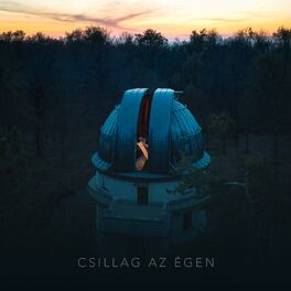 Album cover of Csillag az égen