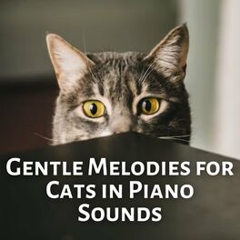 Album cover of Gentle Melodies for Cats in Piano Sounds
