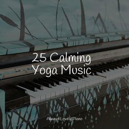 Album cover of 25 Calming Yoga Music