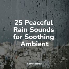 Album cover of 25 Peaceful Rain Sounds for Soothing Ambient