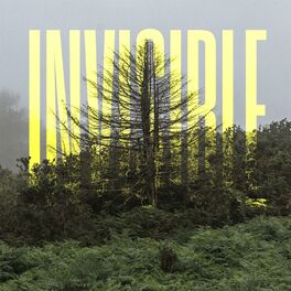 Album cover of The Invisible EP