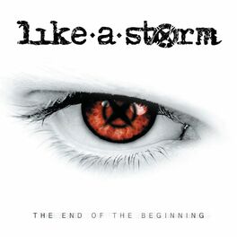 Album cover of The End of the Beginning