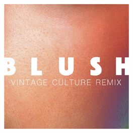 Album cover of Blush (Vintage Culture Remix)