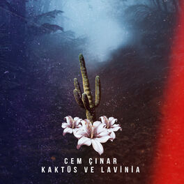 Album cover of Kaktüs ve Lavinia