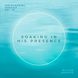 Album cover of Soaking in His Presence, Vol. 15