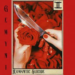 Album cover of Romantic Suicide