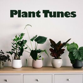 Album cover of Plant Tunes