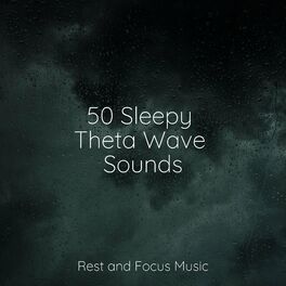 Album cover of 50 Sleepy Theta Wave Sounds