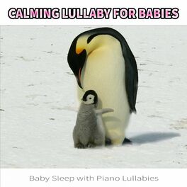 Album cover of Calming Lullaby for Babies: Baby Sleep with Piano Lullabies