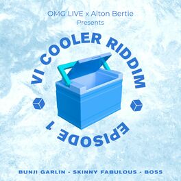Album cover of VI Cooler Riddim