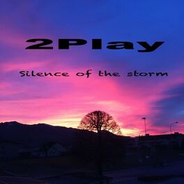 Album cover of Silence of the Storm