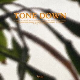 Album cover of Tone Down