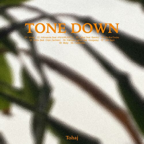 Tohaj - Tone Down (2023) MP3