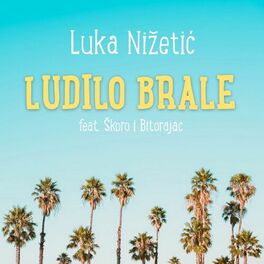 Album cover of LUDILO BRALE