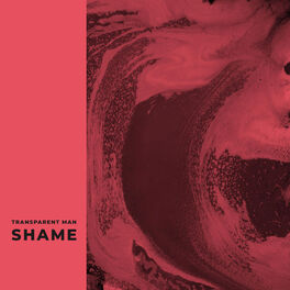 Album cover of Shame