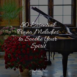 Album cover of 50 Essential Piano Melodies to Soothe Your Spirit