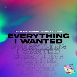 Album cover of Everything I Wanted
