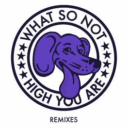Album cover of High You Are (Remixes)