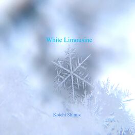 Album cover of White Limousine